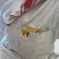 بروش حصان بالاسم