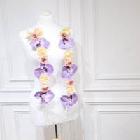 بوكس تخرج بكوس طوق مع استند تخرج