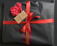 هودي غامبول و داروين