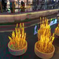 سنابل غرس ذرة حزمة 20 حبة