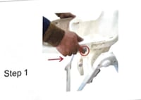 كرسي طعام للأطفال بعجلات متعدد المستويات