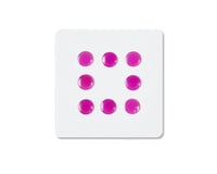 Fox Gaze - Universal Dots