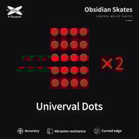 X-RAYPAD Obsidian Skates