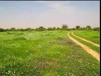 كتابة قصيده من ثمانية ابيات شعريه فصيح او عامي