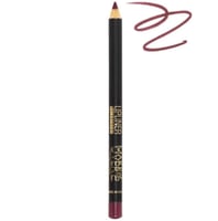 LP010 ميك اوفر 22 محدد شفاه