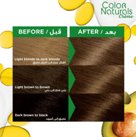 غارنييه كولور ناتشرلز صبغة شعر اشقر غامق 6