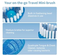 بيوتي سيستم فرشاة ومعجون مع خيط تنظيف الاسنان 10 ق...