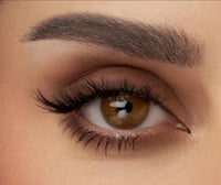 عدسات انستازيا 6 اشهر ظاظا ZAZA