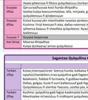 جدول تنظيف البيت بالعربية والأرومية (أثيوبيا)