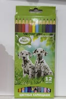 الوان خشبية 12 لون pet friends