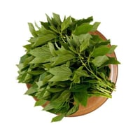 ملوخية طازج