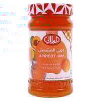 مربي المشمش -العلالي 400جم