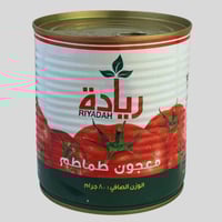 معجون طماطم - ريادة 800 جرام