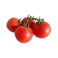 طماطم ابو شوكة 1 كيلو