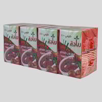 معجون طماطم ريادة 135 جم