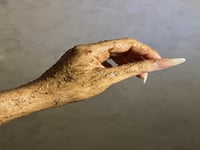 مقشر القهوه بالاعشاب