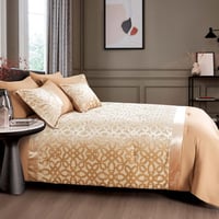 باكج ترند الصيف ( مفرش + لباد + 2 وسادة )