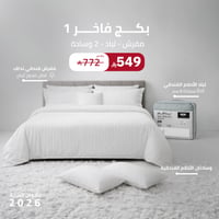 بكج فاخر 1 ( مفرش - لباد - 2 وسادة )