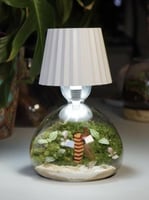 ابجوره الغابه المضيئه صغيره