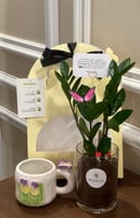 بكج زاميا وكوب