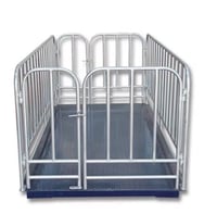 ميزان الحلال الألكتروني متر في متر 3 طن