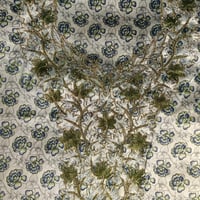 مخور مع طرحه