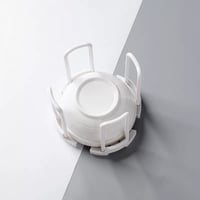 منظم زبديه يتمدد