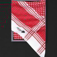 عرض الفخــــــــــــــــــــــــــــــــامة