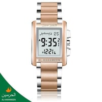 فضي برونزي SRW
