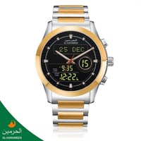 ذهبي فضي مينا أسود SGB