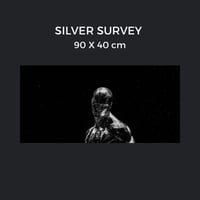Silver survey