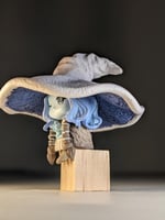 فيقر راني من لعبة الدن رنيغ ( صغير ،لطيف)