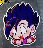 ستكر كبير غوهان من دارغون بول.