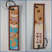 ميدالية بوكيمون، صورة مختلفة لكل وجه.