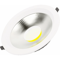 كشاف سبوت لايت لون الانارة ابيض 20 سم 30 واط