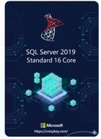 SQL Server 2019 Standard 16 Core