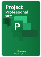 بروجكت بروفيشنال 2021