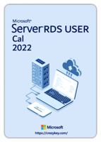 Windows Server 2022 Remote Desktop Services user c...