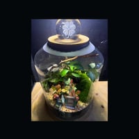 حوض التيراريوم - الغابة العملاقة