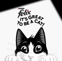 بورينا فيليكس مجموعة متنوعة من اللحوم للقطط البالغ...