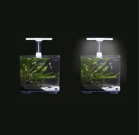 دوفين اضاءة حوض صغير 106