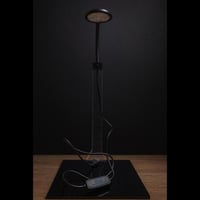 حوض التيراريوم - الجلوس ومنزل في الغابة