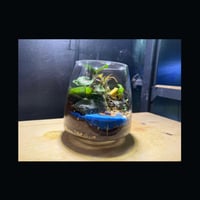 حوض التيراريوم - الغابة والنهر ومركب وسط النهر