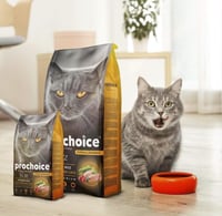 بروتشويز طعام قطط دجاج 15ك