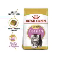 رويال كانين بيرشن كتن 400جرام