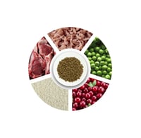 بروتشويز طعام قطط لحم ورز للقطط البالغة ٢ كيلو