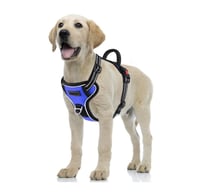 ديوفو أطواق نزهة الكلاب مقاس XXL