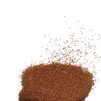 بذور نباتات اعشاب احواض اسماك الزينة سعة 50جرام بش...