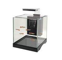 دوفين حوض ميني DoPhin Mini tank 8003