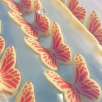 شوكلاته فراشات بني وابيض 16 قطعه